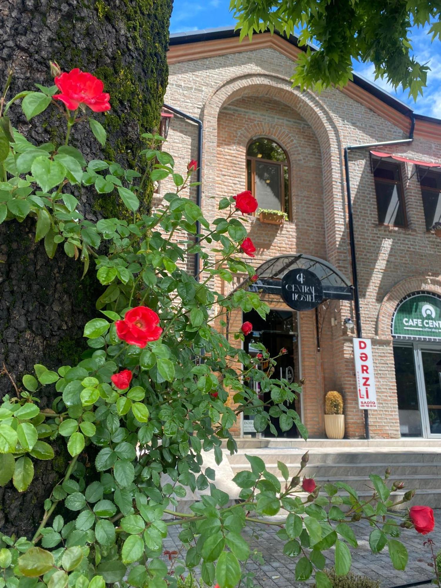 Central Hostel Шеки Экстерьер фото